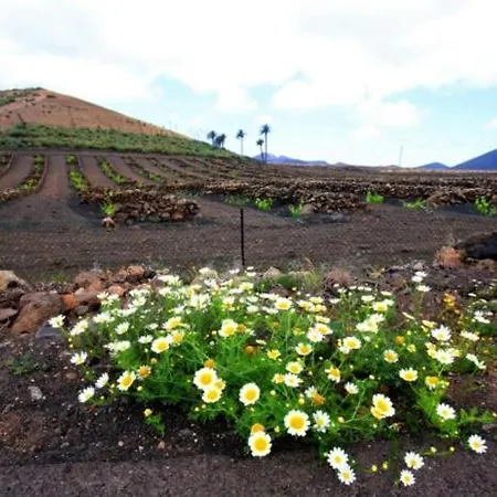 Aloelux !! - Private With Pool , Jacuzzi, Cinema, Massage ,wonderful View, Art Desing *